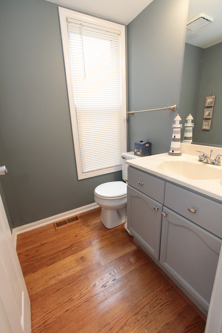 1474 Knotty Pine Drive Elgin, IL 60123 - Photo 10 of 21 a bathroom with a sink toilet and window