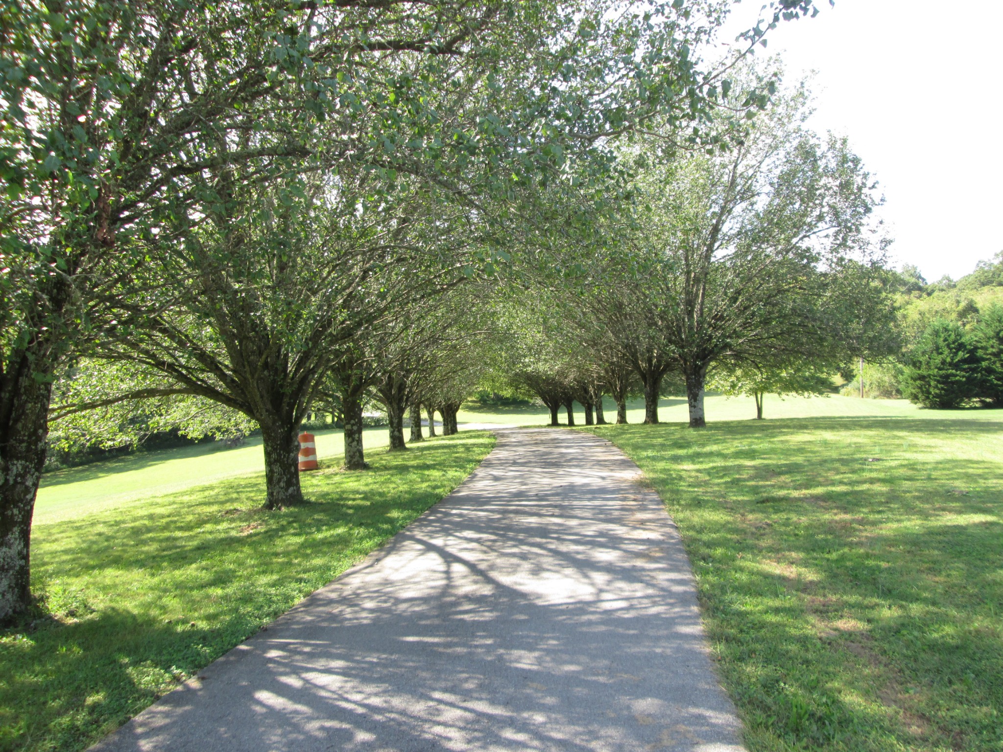 2300 Callis Road Lebanon, TN 37090 - Photo 3 of 21 a view of a yard with a tree