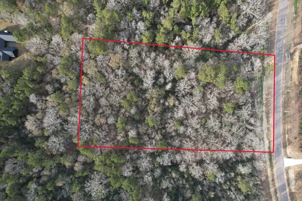 a view of small yard