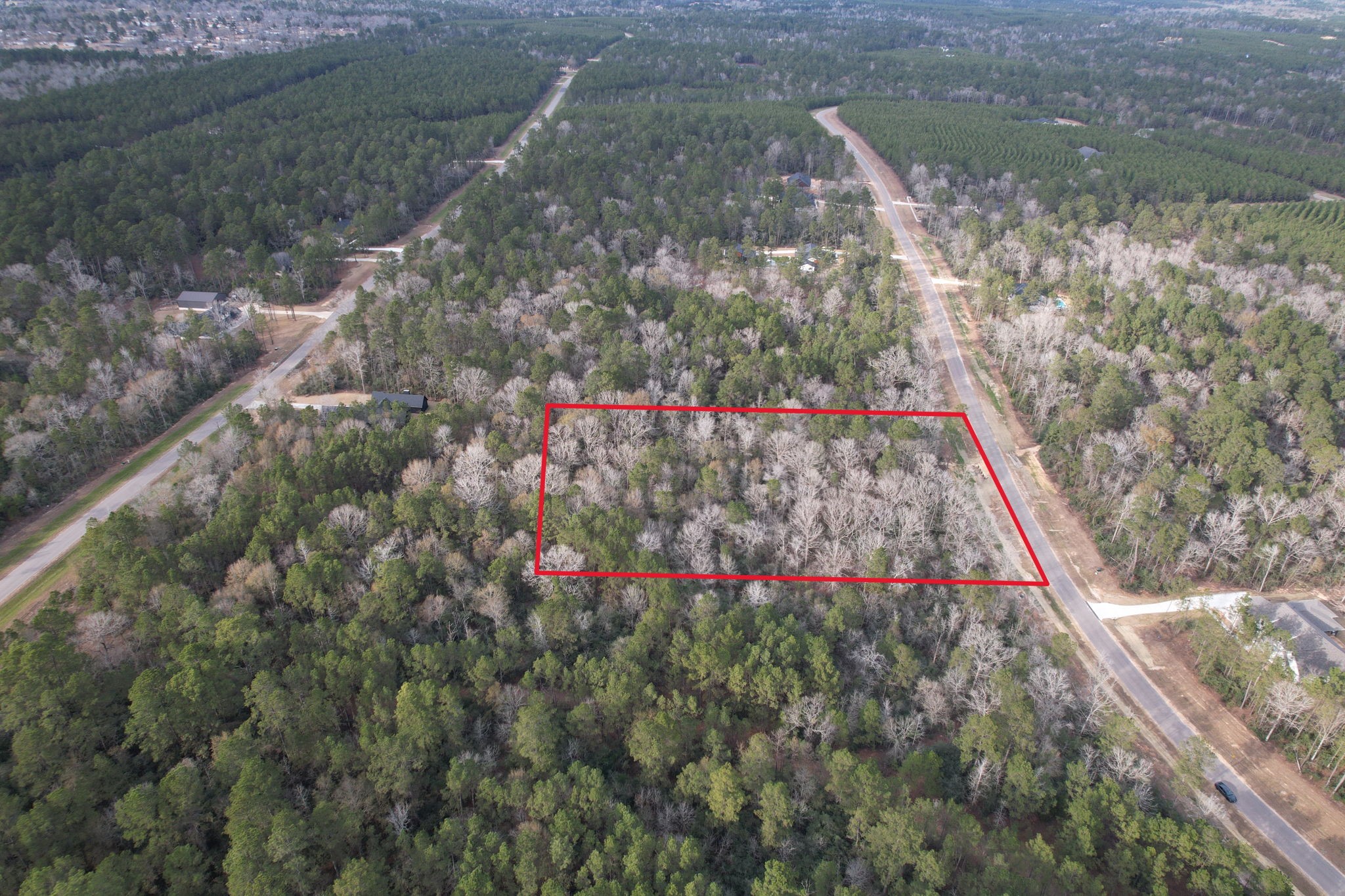 16157 Ridge Oak Road Willis, TX 77378 - Photo 3 of 9 a view of pathway