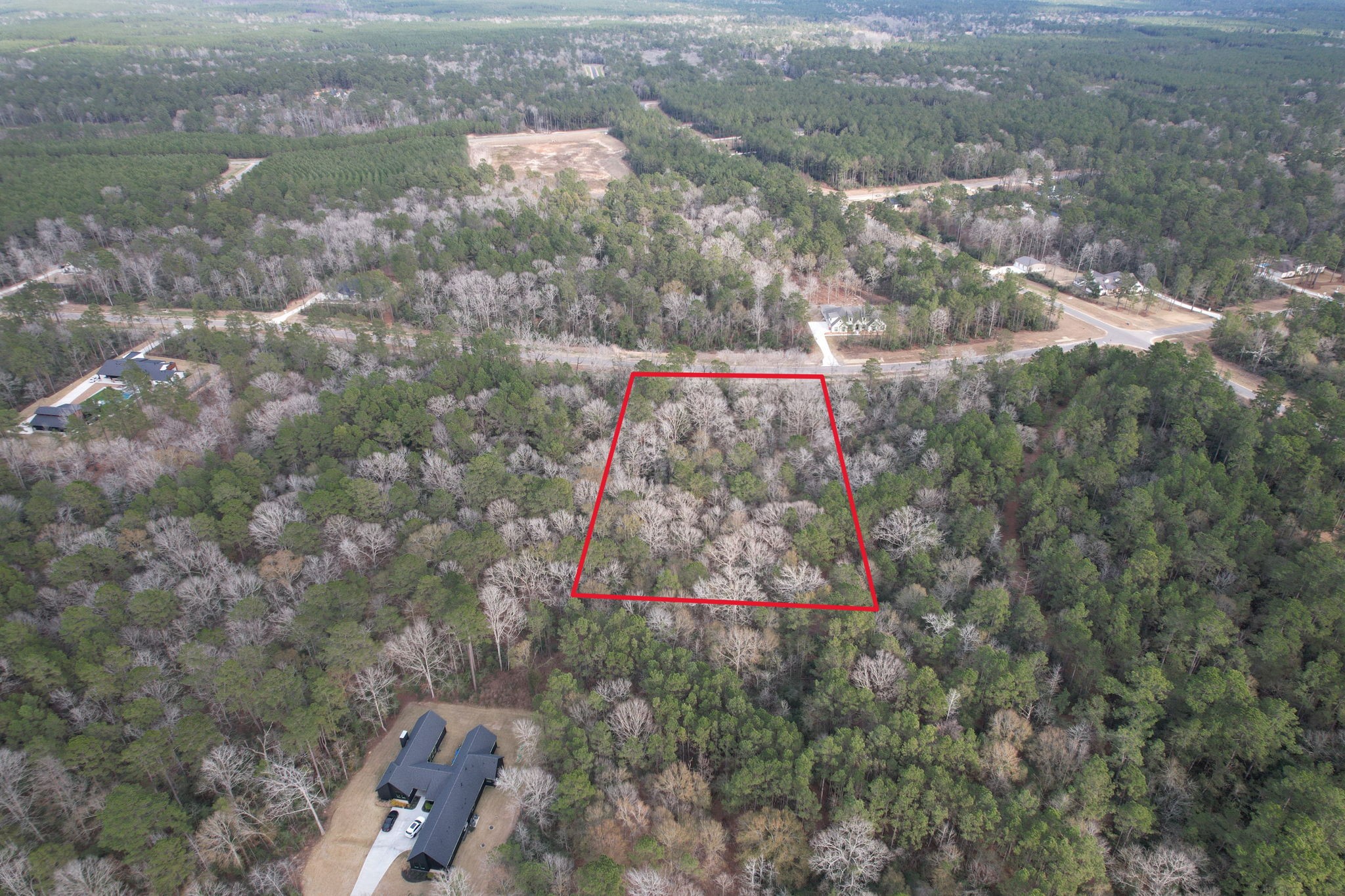 16157 Ridge Oak Road Willis, TX 77378 - Photo 5 of 9 a view of yard