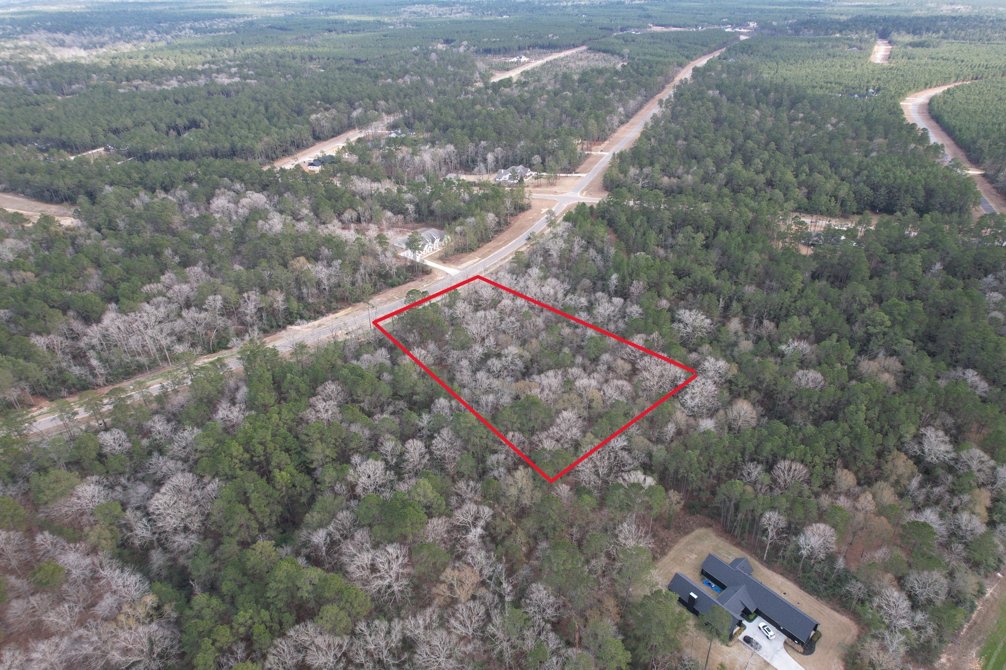 16157 Ridge Oak Road Willis, TX 77378 - Photo 6 of 9 a view of the plants