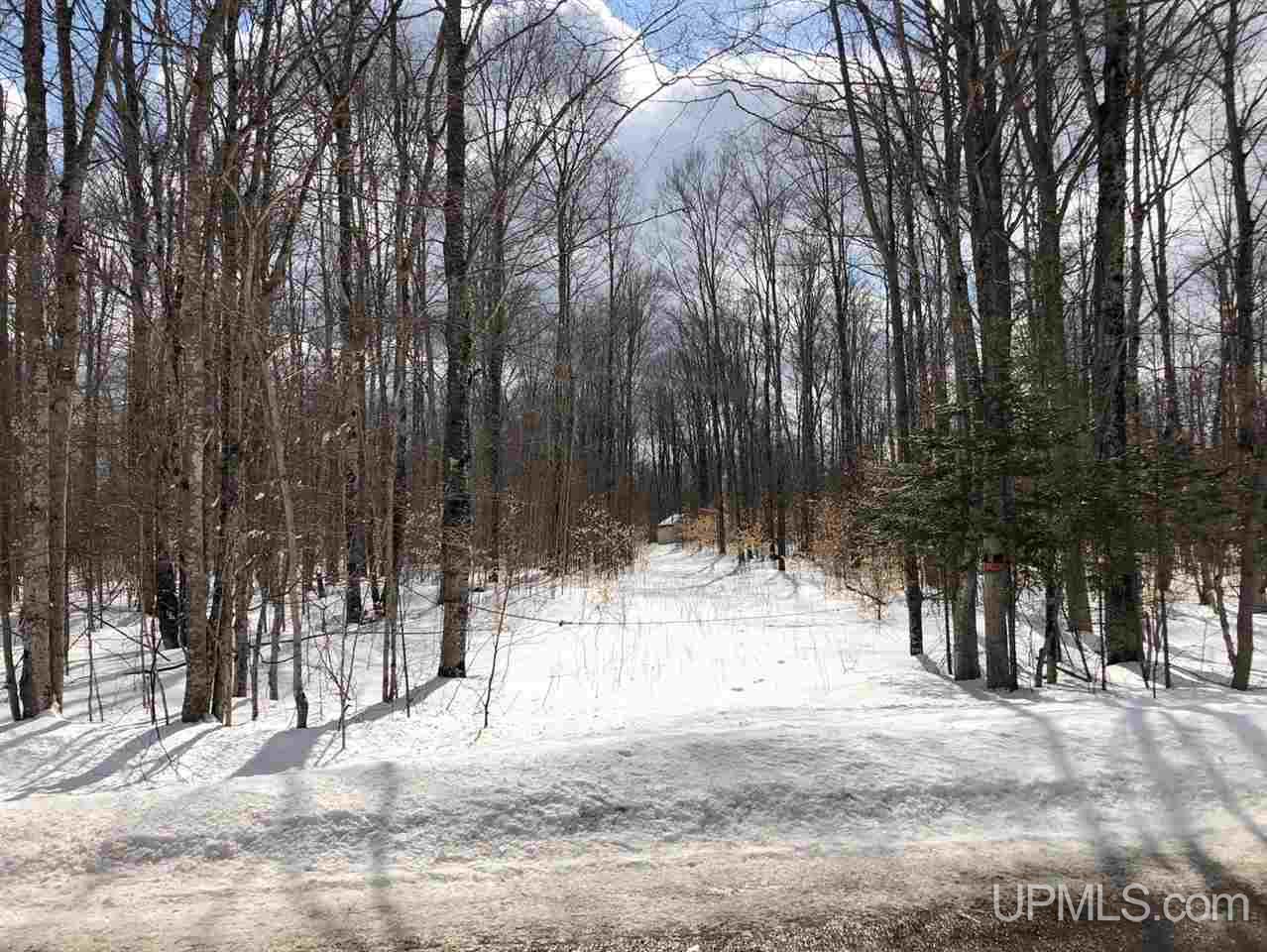 Tbd Quarry Road Gulliver, MI 49854 - Photo 1 of 4