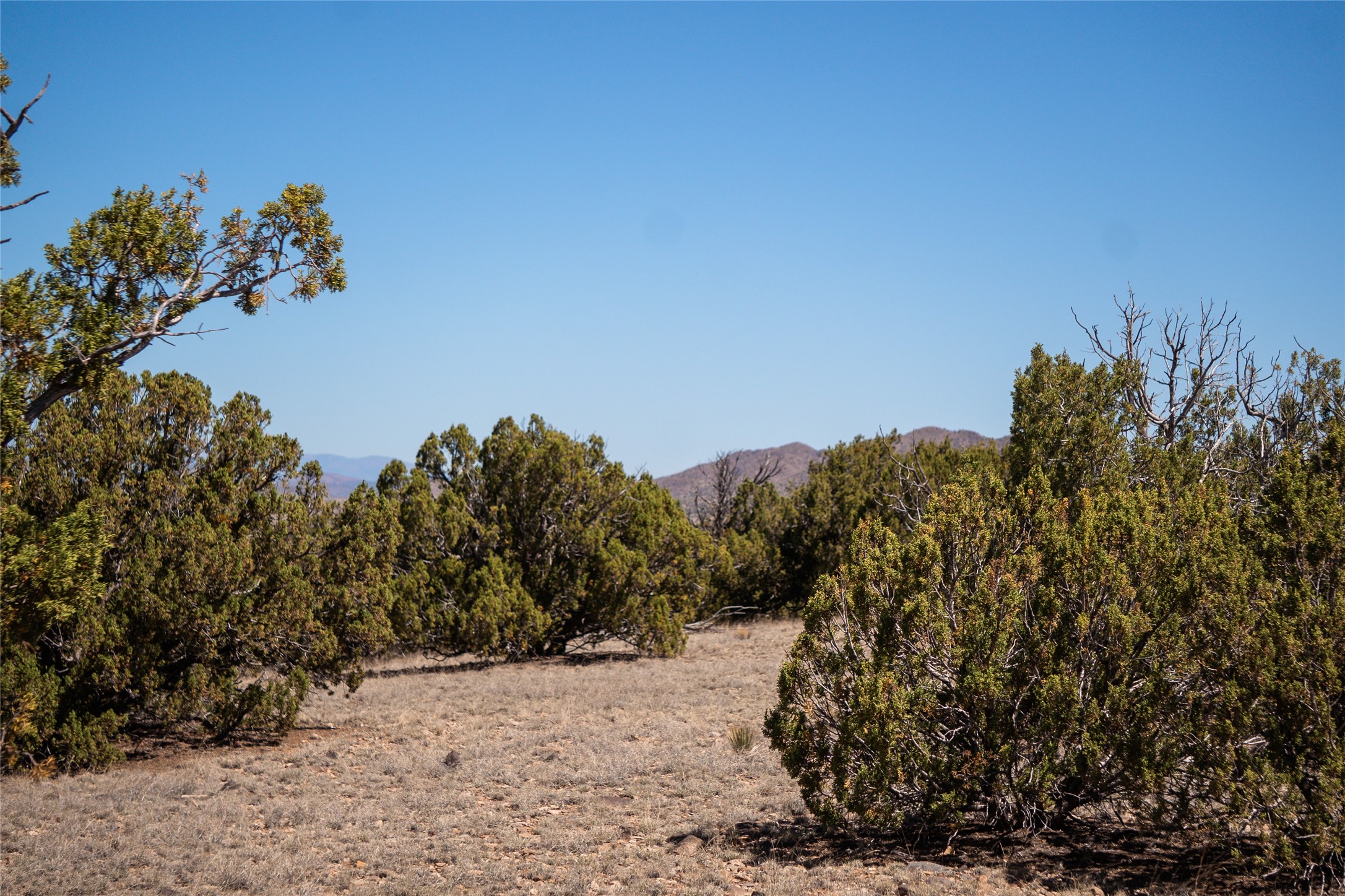 7 C Rancho De Shama, Unit A Cerrillos, NM 87010 - Photo 3 of 19