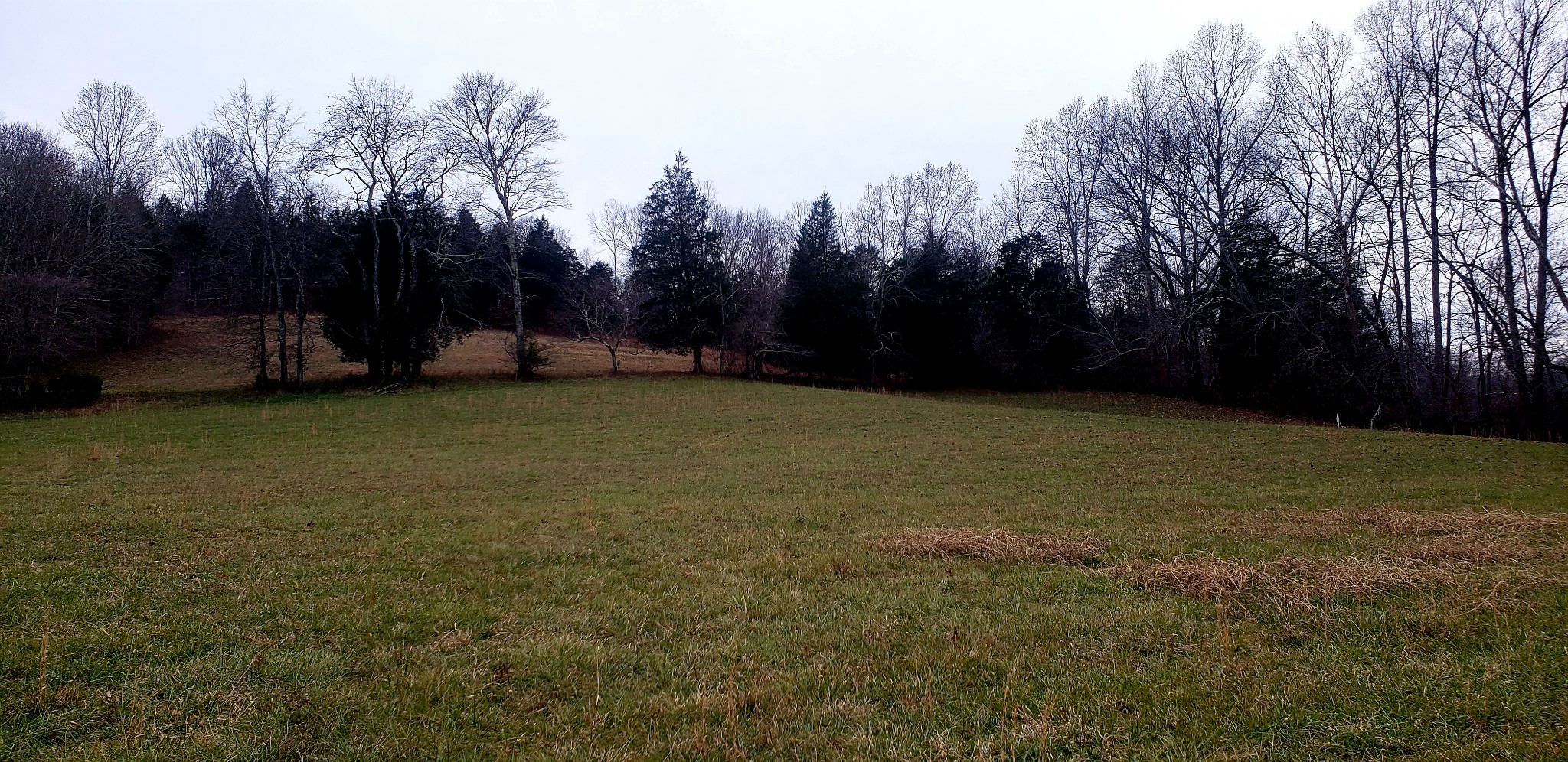 a view of a field with trees in the background