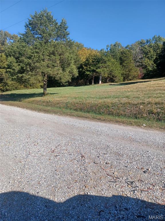 0 Colonial Acres Lane Perryville, MO 63775 - Photo 2 of 10