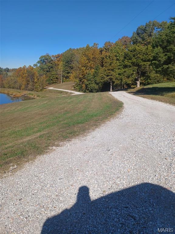 0 Colonial Acres Lane Perryville, MO 63775 - Photo 6 of 10