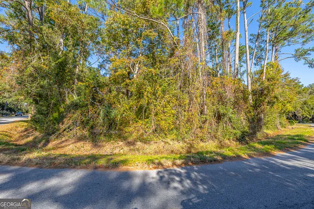 $33,000 | 133 Helmich Drive, Brunswick, GA 31525