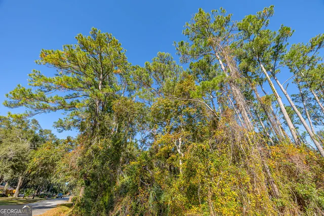 $33,000 | 133 Helmich Drive, Brunswick, GA 31525