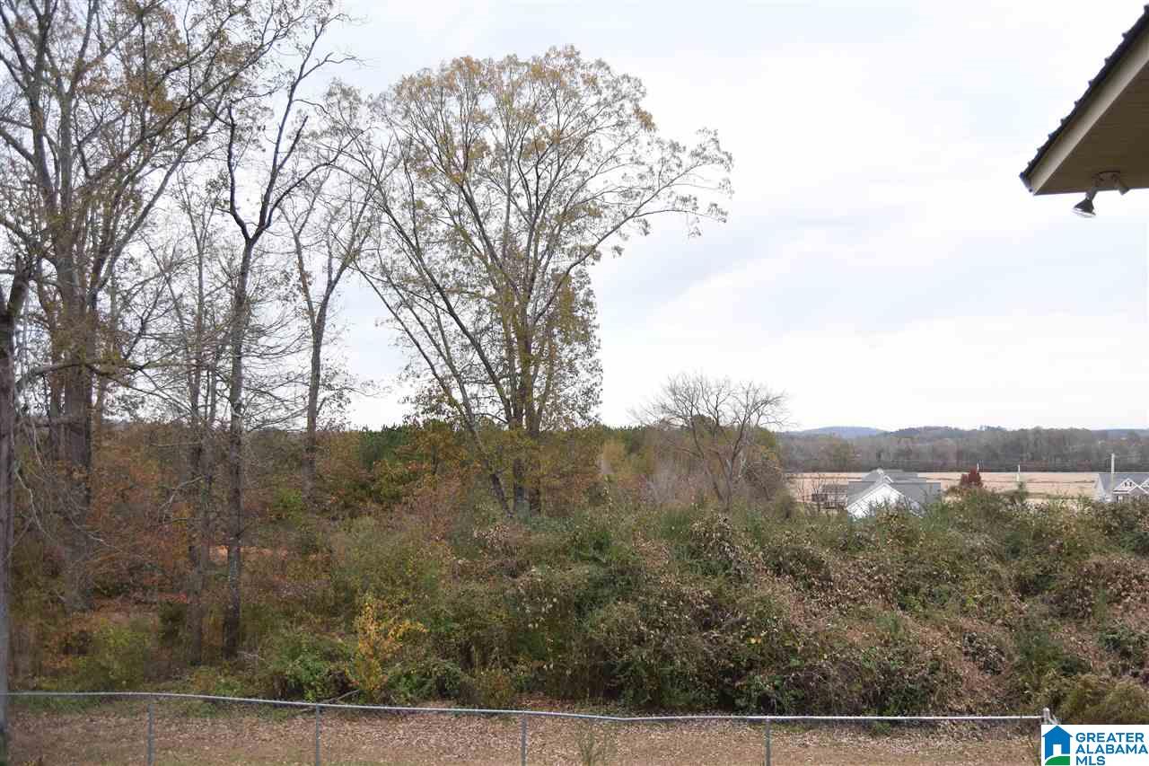 83 Spring Brook Drive Alexandria, AL 36250 - Photo 38 of 41