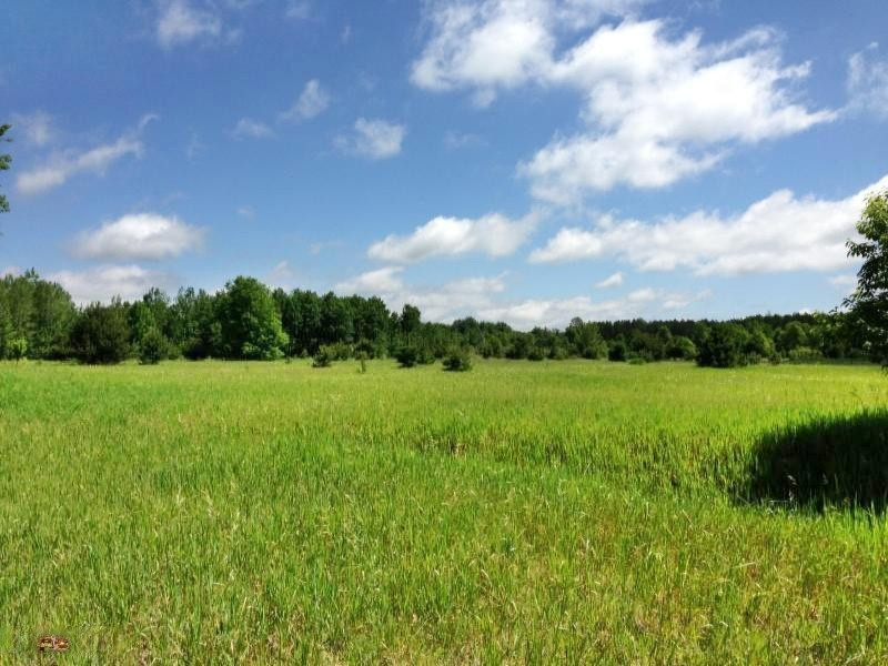 V/l Yates Road Copemish, MI 49625 - Photo 8 of 13 Yates Rd 8