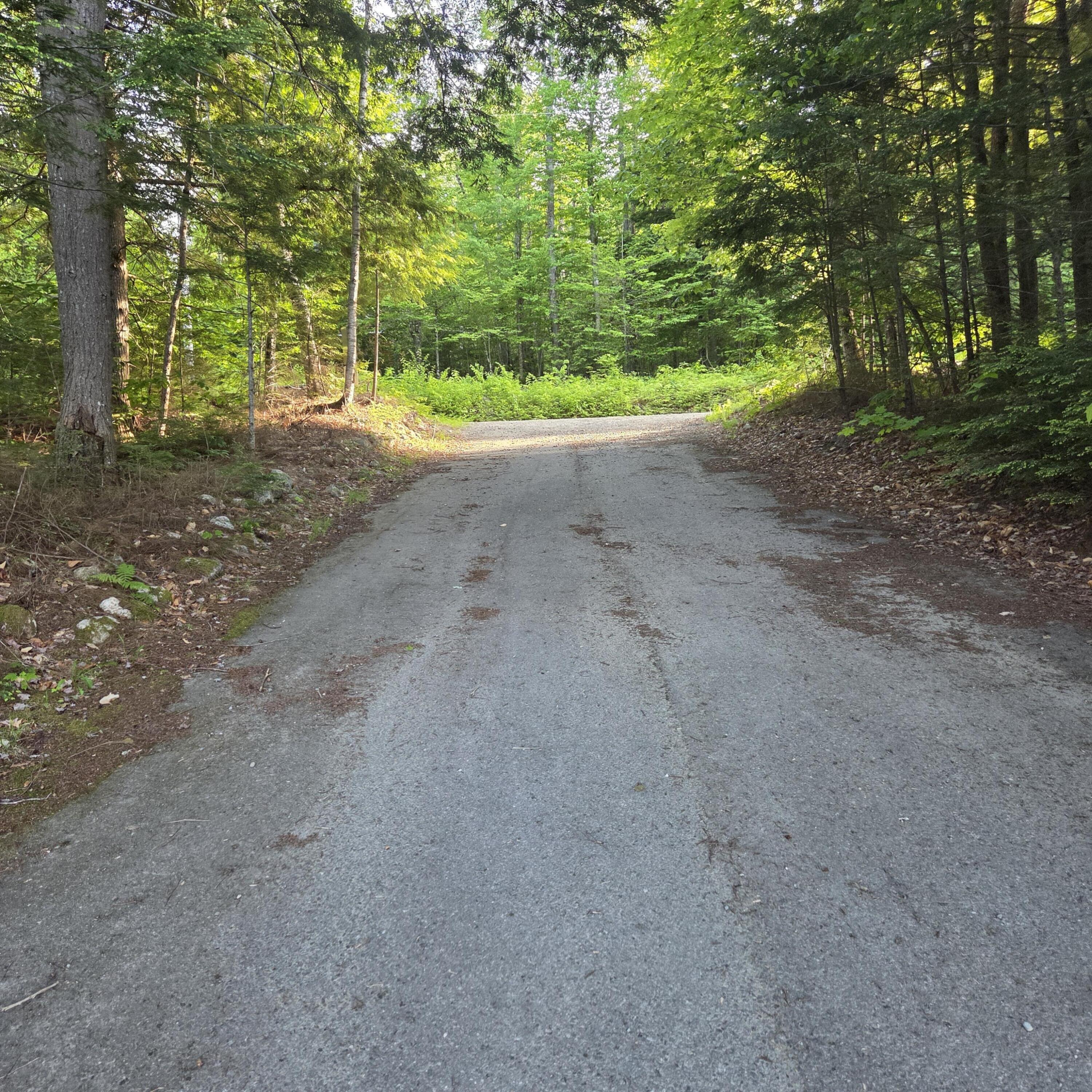 74 Eagle Ridge Road Lincoln, ME 04457 - Photo 6 of 32