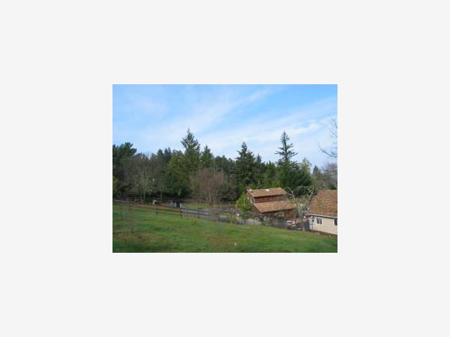 25400 Adams Road Los Gatos, CA 95033 - Photo 5 of 5 Gallery Image 5