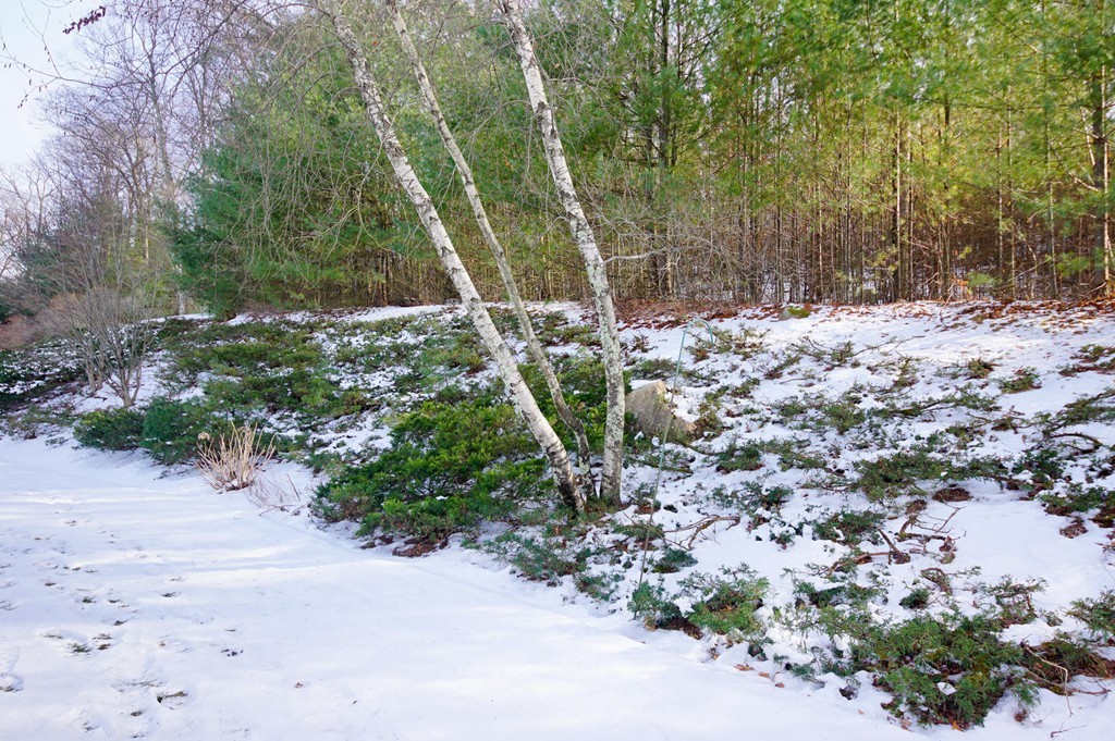 9 Highcroft Way, Unit 9 Hopkinton, MA 01748 - Photo 4 of 28
