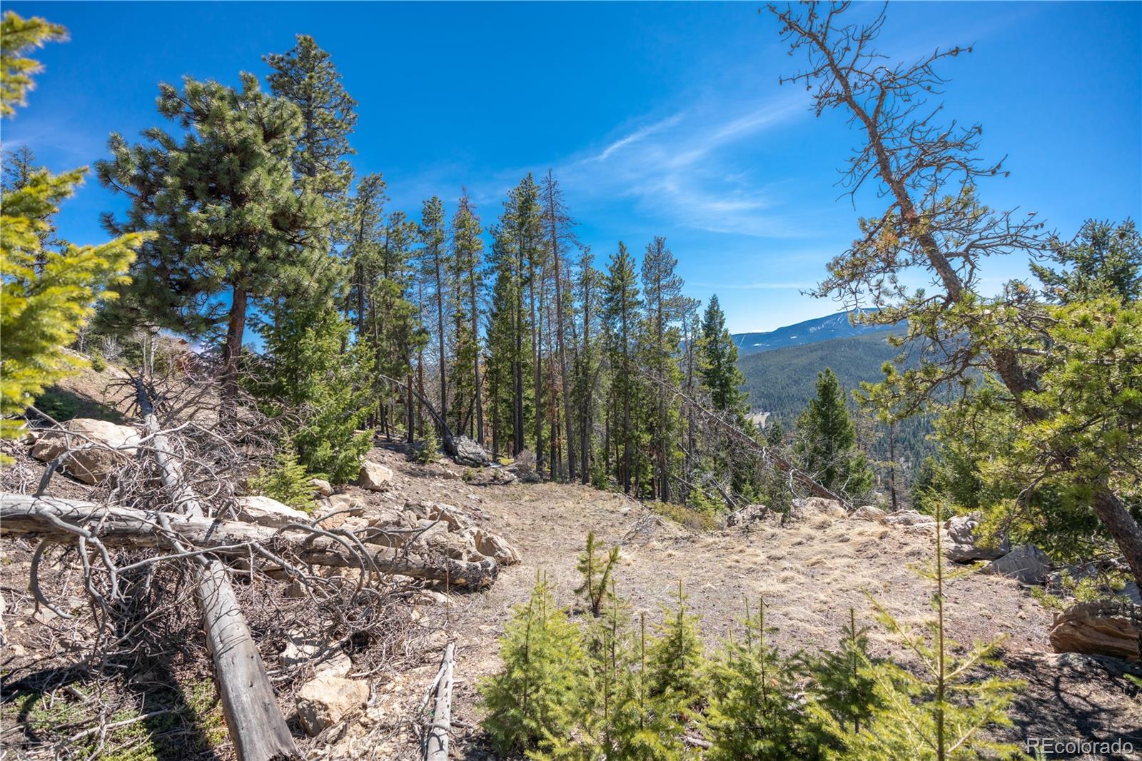 6944 Granite Crag Circle Evergreen, CO 80439 - Photo 18 of 29