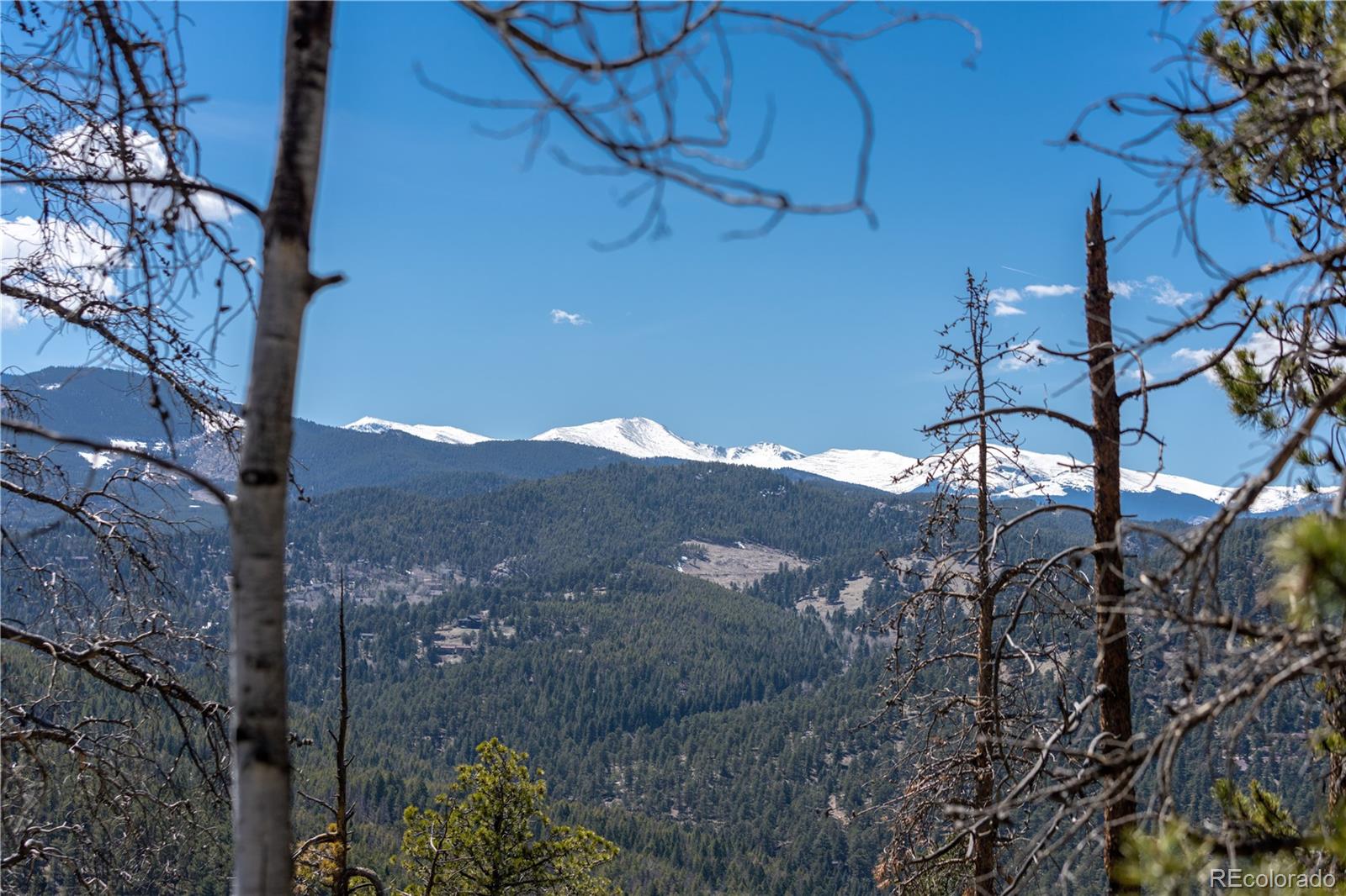 6944 Granite Crag Circle Evergreen, CO 80439 - Photo 20 of 29