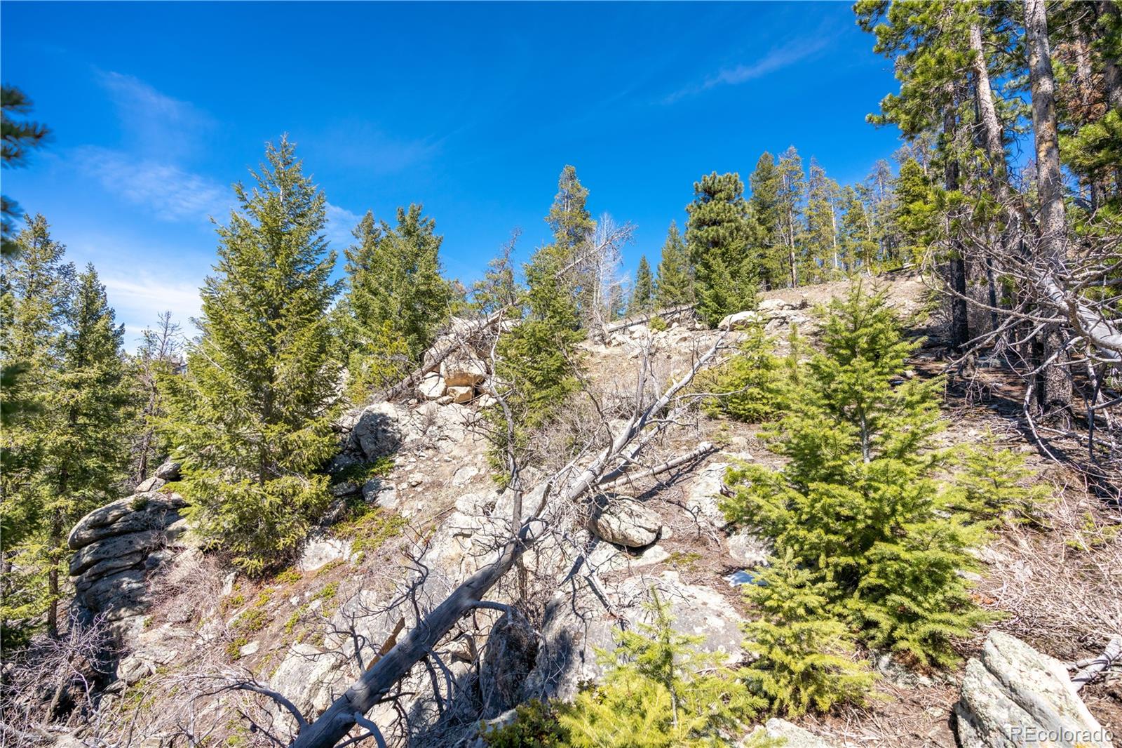 6944 Granite Crag Circle Evergreen, CO 80439 - Photo 29 of 29
