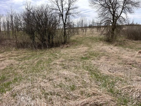 $90,000 | Lot 20 215th Street, Barrett, MN 56311