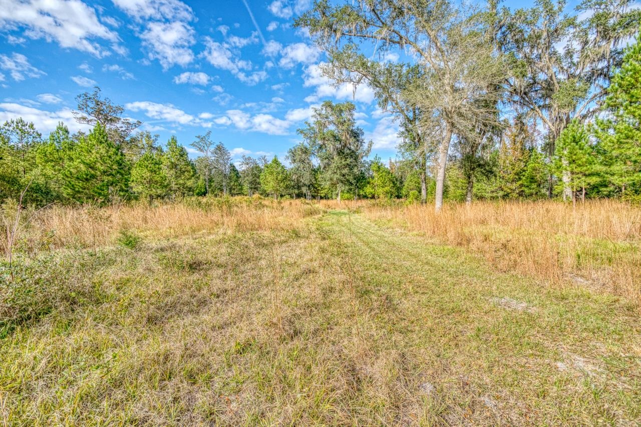 1161 Northwest Jersey Road Madison, FL 32340 - Photo 24 of 29