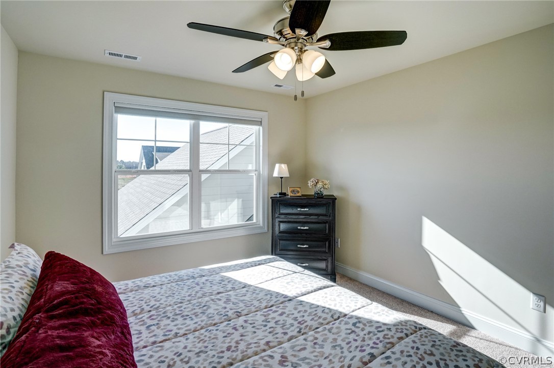 207 Thorncliff Road Ashland, VA 23005 - Photo 43 of 50 Gallery Image 43