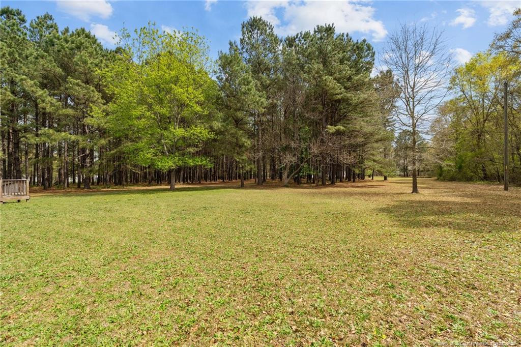 5236-5240 Maxwell Road Stedman, NC 28391 - Photo 35 of 50 a view of swimming pool with trees