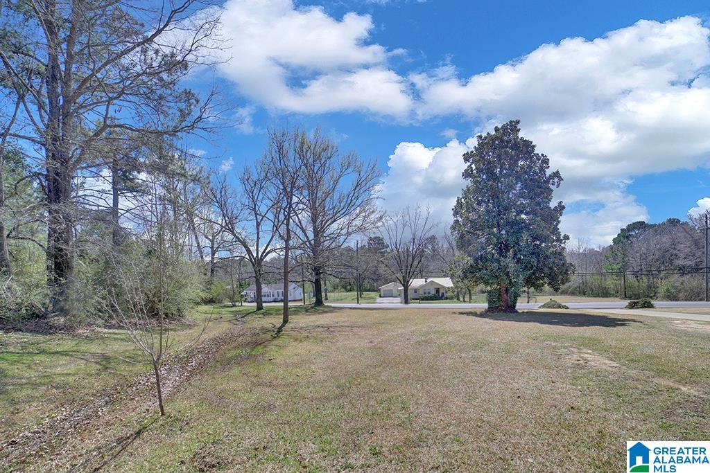 6575 Warrior River Road Bessemer, AL 35023 - Photo 21 of 23
