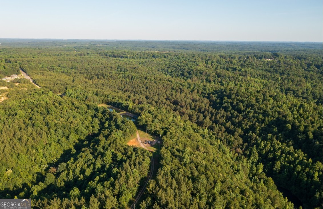 0 Gilmore Mine Road, Unit TRACT A/B Cottondale, AL 35453 - Photo 9 of 18