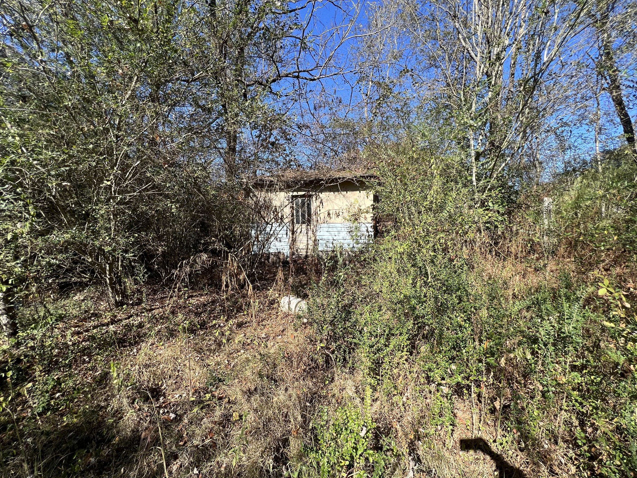 0 Vines Circle Loretto, TN 38469 - Photo 11 of 14 a view of a yard with plants and trees
