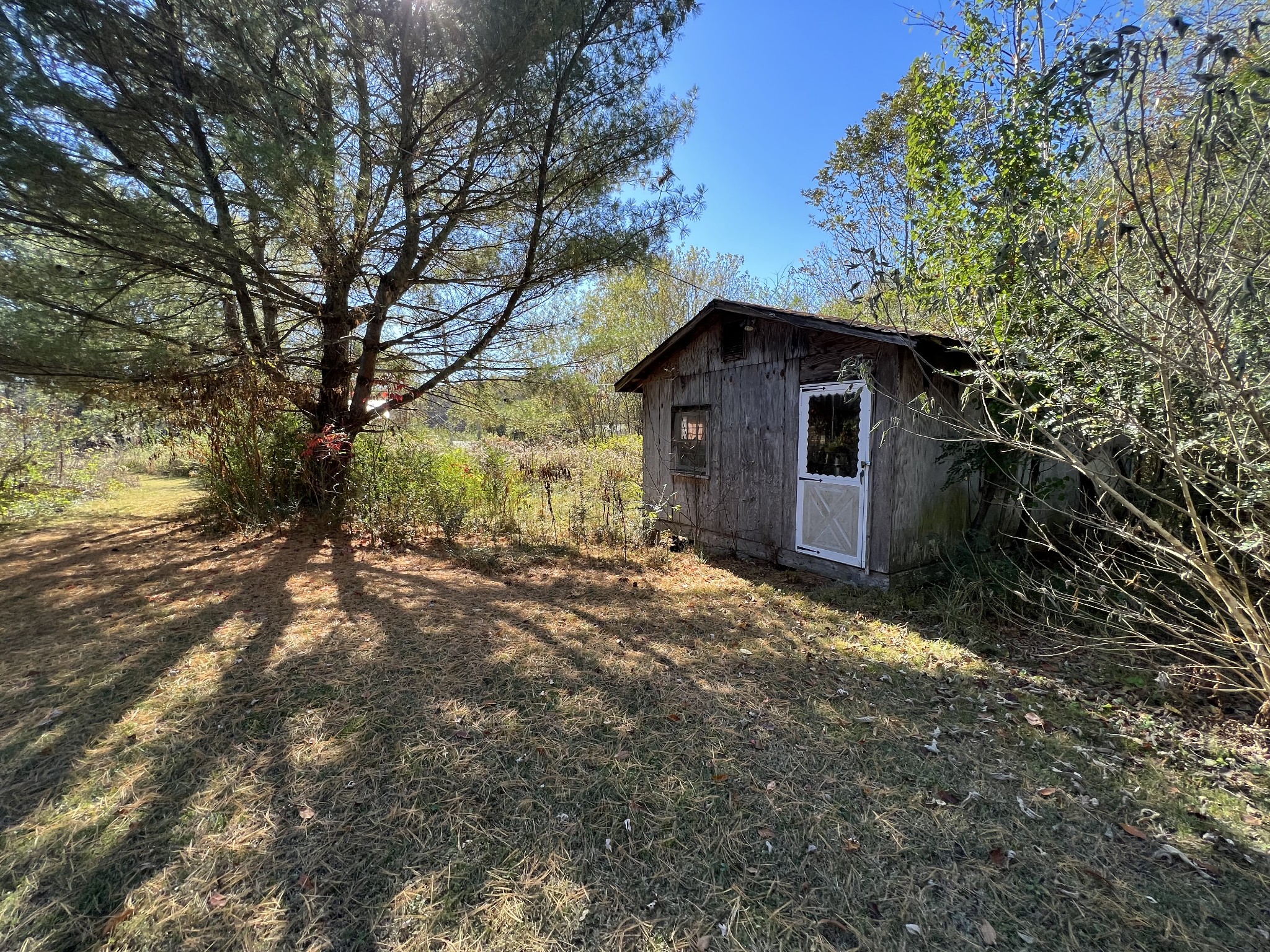 0 Vines Circle Loretto, TN 38469 - Photo 12 of 14 a view of a house with a tree in the background