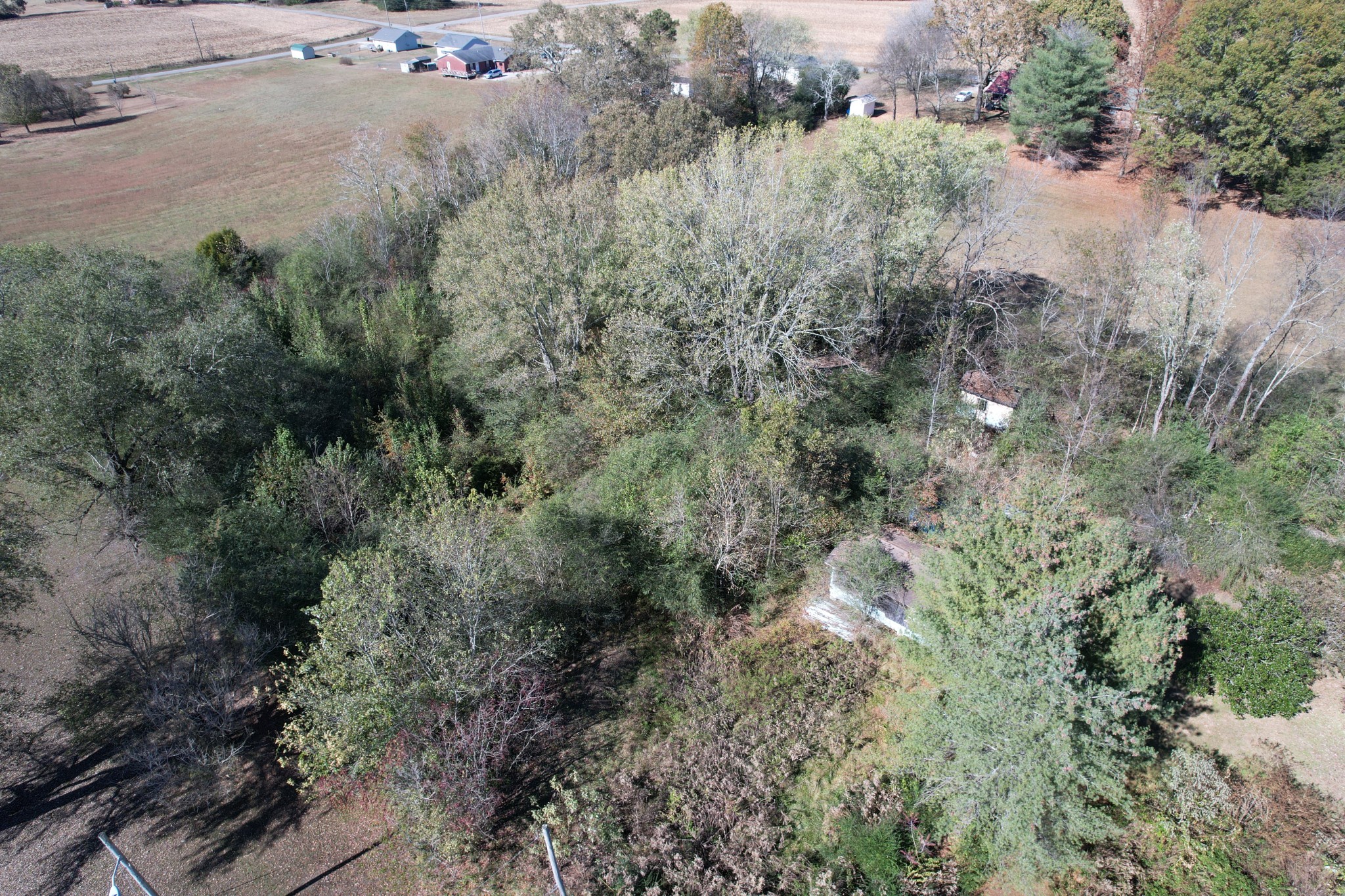 0 Vines Circle Loretto, TN 38469 - Photo 3 of 14 an aerial view of residential house with outdoor space and trees all around