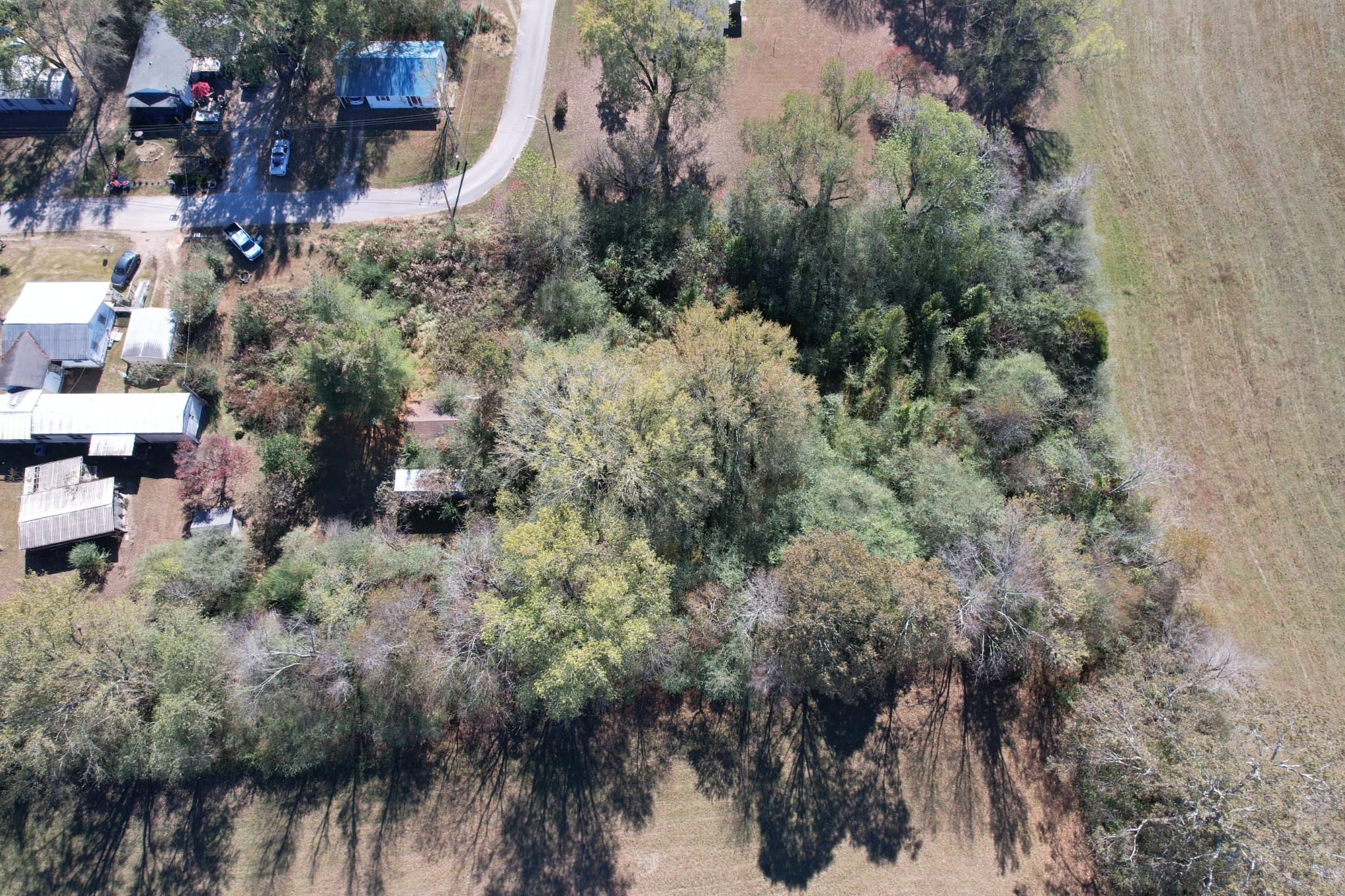 0 Vines Circle Loretto, TN 38469 - Photo 4 of 14 a view of a house with a yard