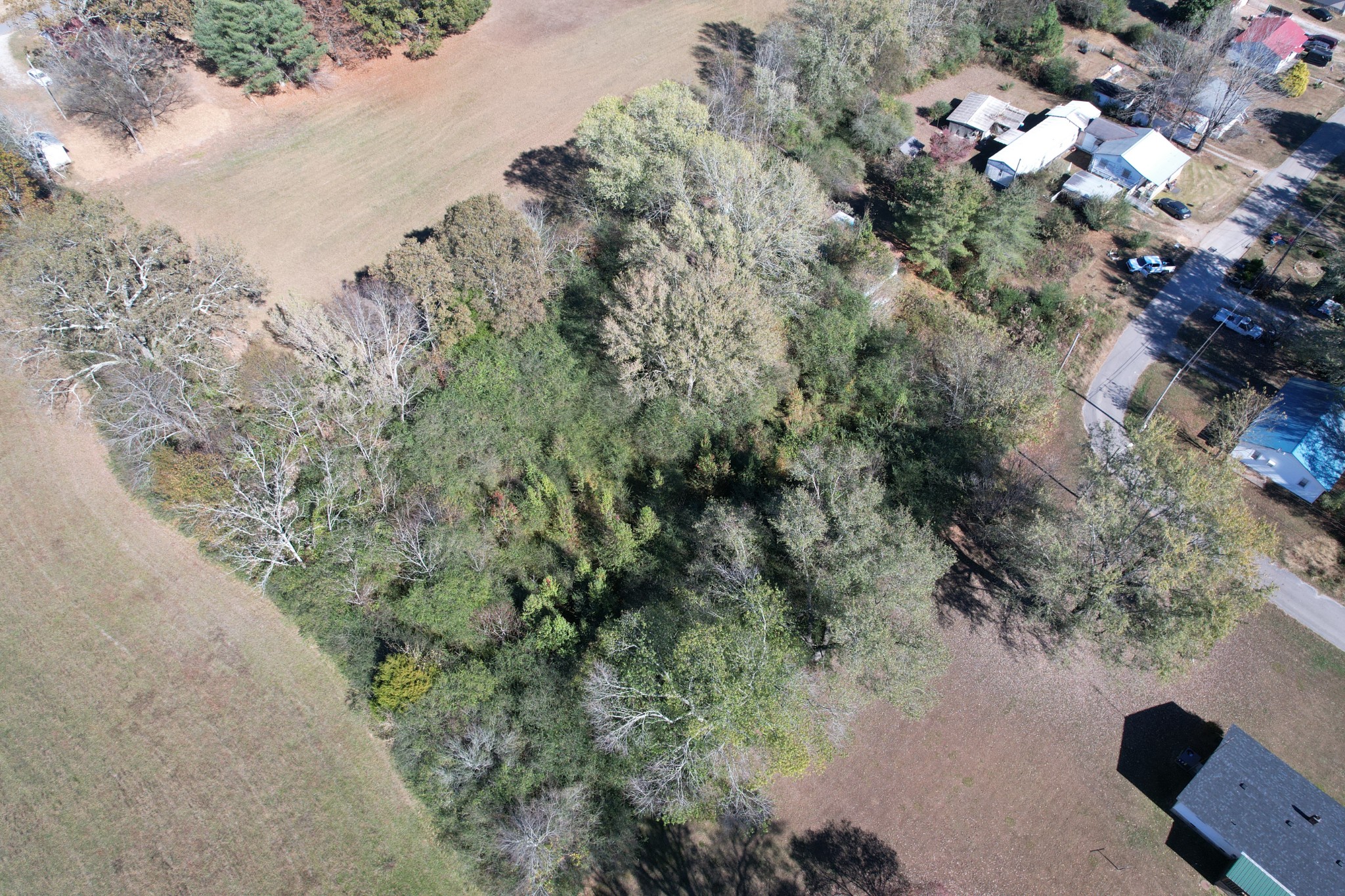0 Vines Circle Loretto, TN 38469 - Photo 5 of 14 a view of a yard with a tree