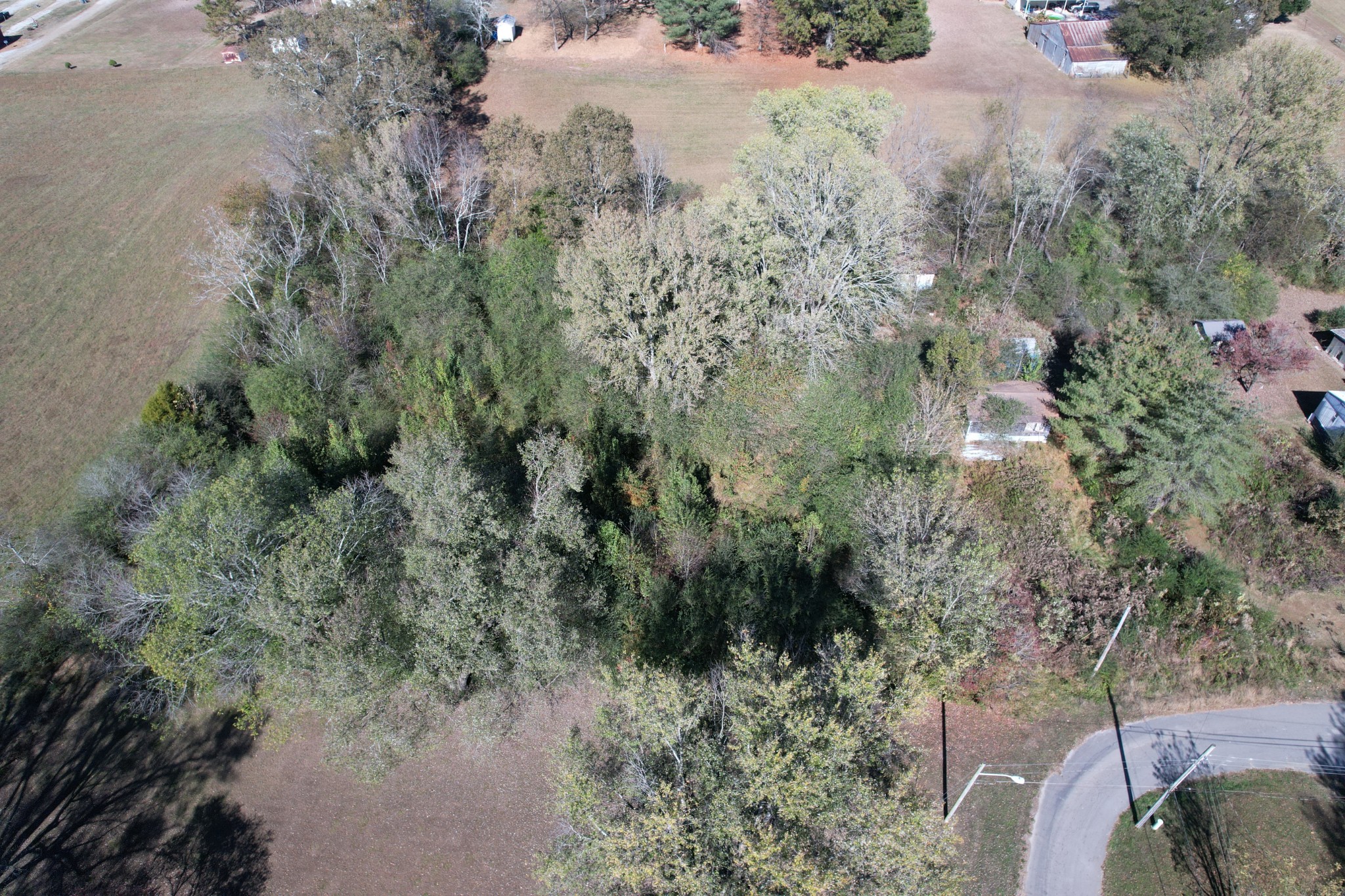 0 Vines Circle Loretto, TN 38469 - Photo 6 of 14 a view of a forest filled with trees
