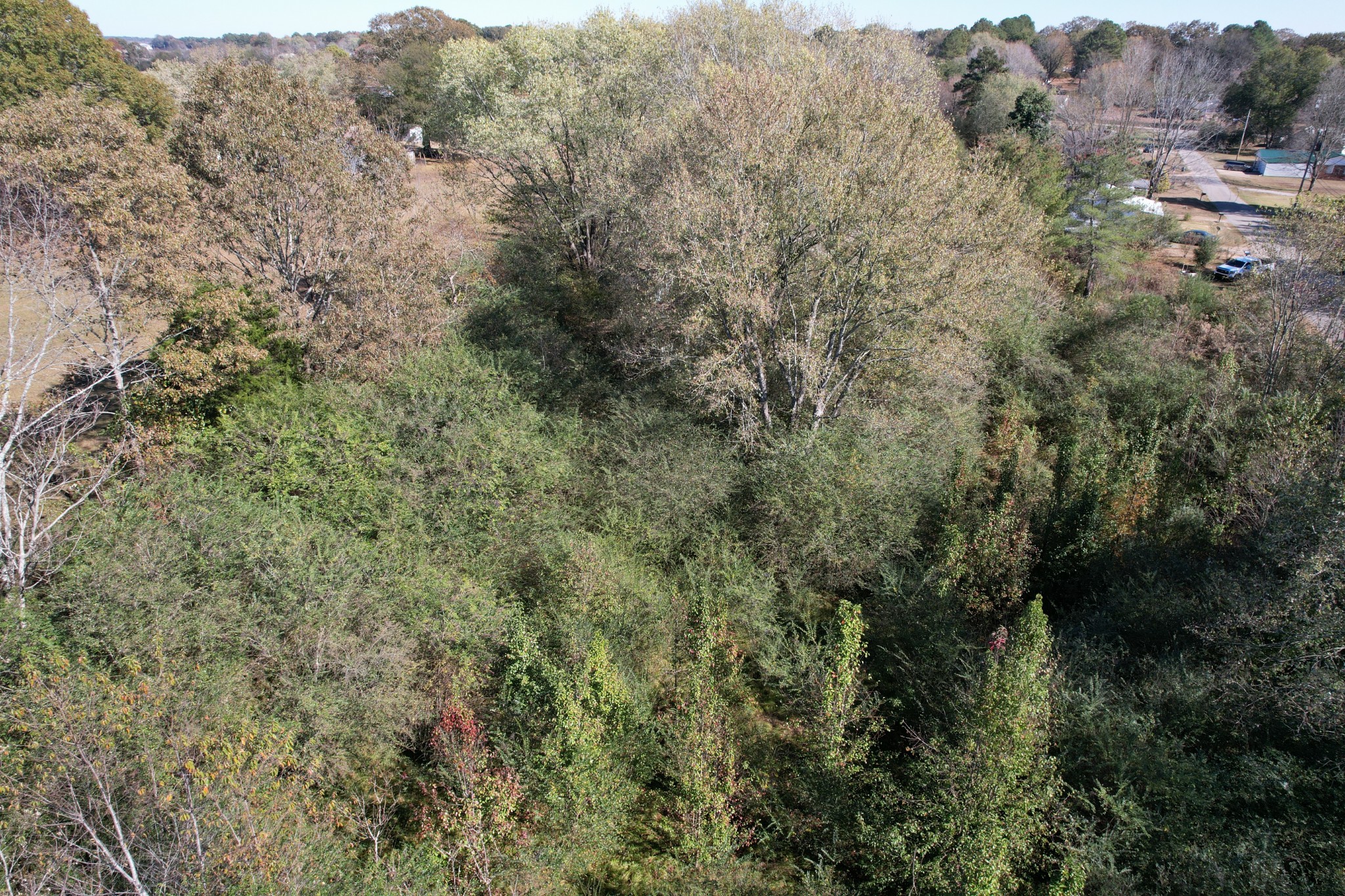 0 Vines Circle Loretto, TN 38469 - Photo 7 of 14 an aerial view of forest
