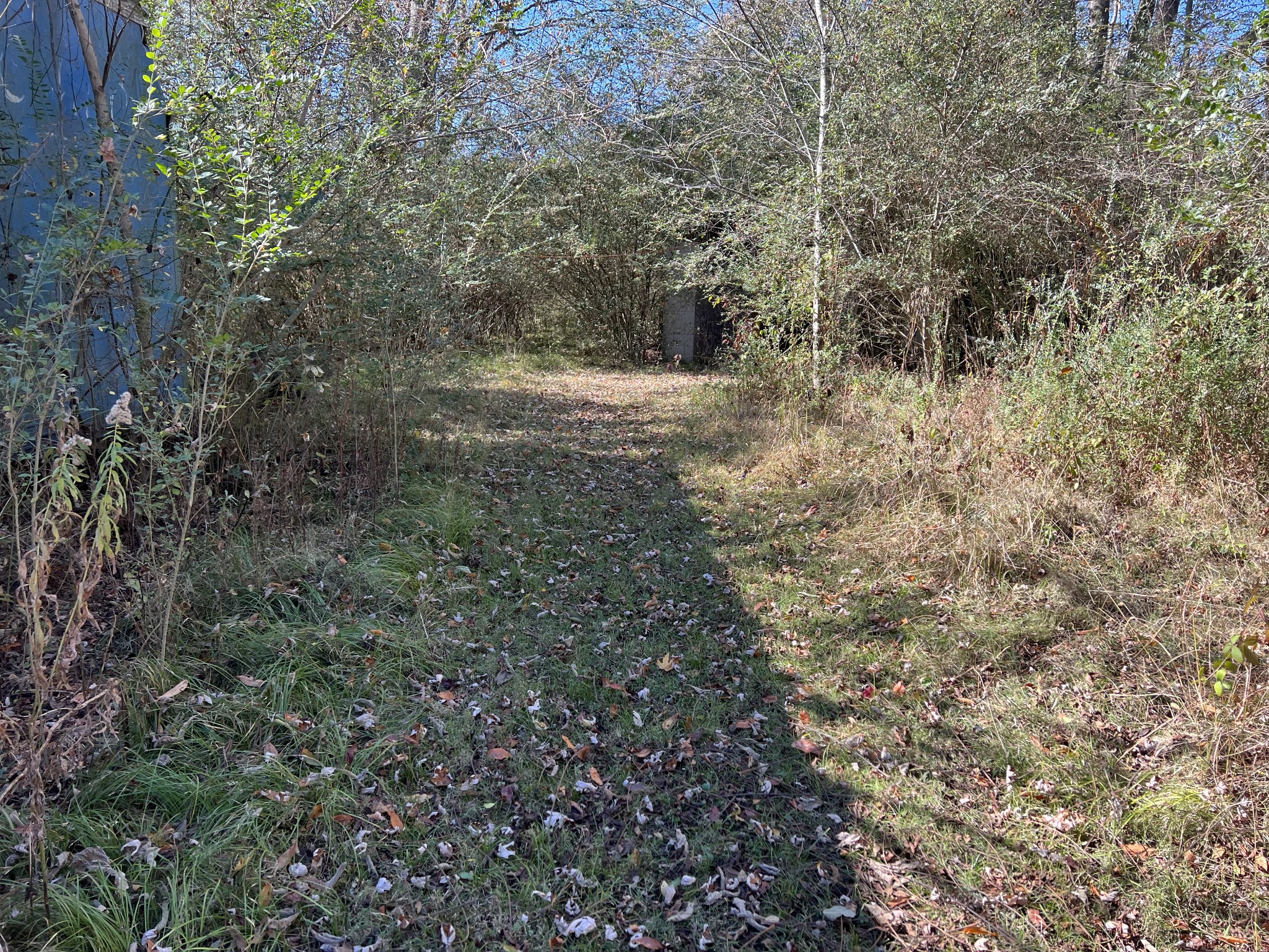0 Vines Circle Loretto, TN 38469 - Photo 9 of 14 a view of outdoor space and trees