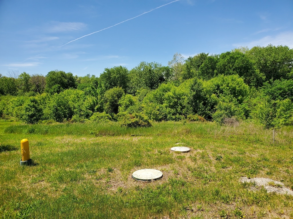 a view of a lake with a yard