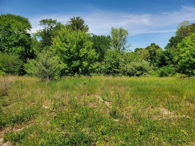 a view of a garden with a lake