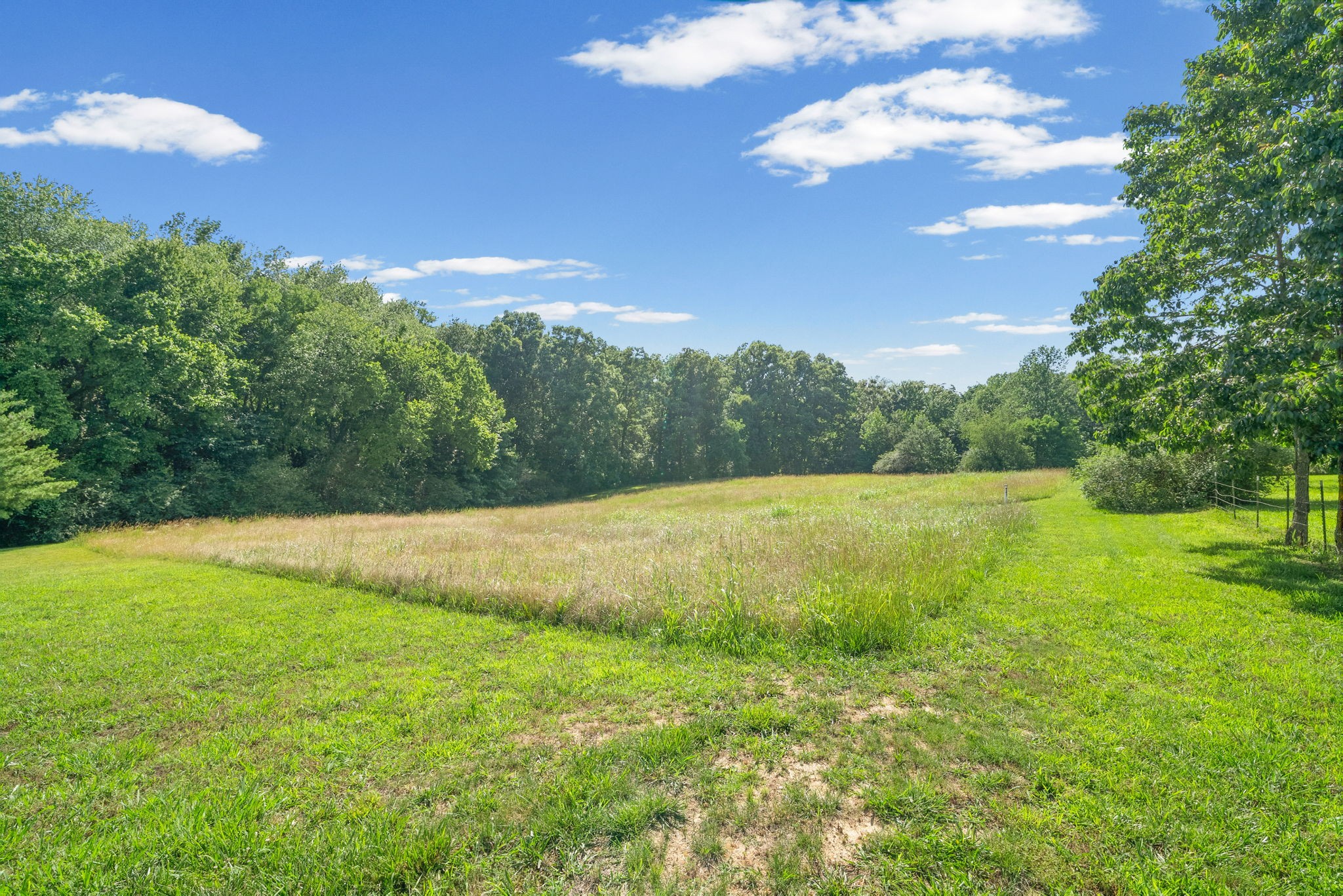 4940 Marion Road Cunningham, TN 37052 - Photo 36 of 43 a view of an outdoor space and a yard