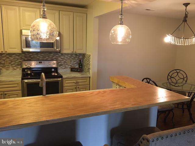 13613 Sir Thomas Way, Unit 1A22 Silver Spring, MD 20904 - Photo 4 of 14