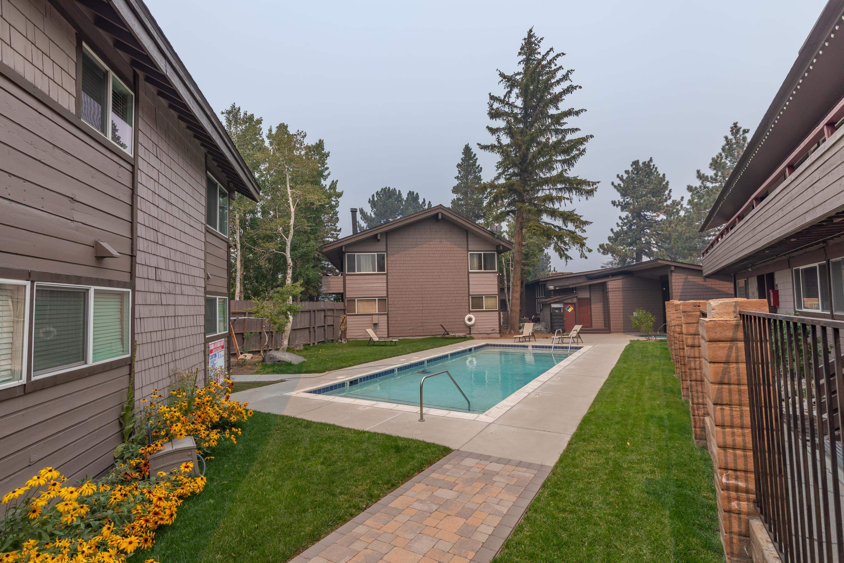 165 Old Mammoth Road, Unit 132 Mammoth Lakes, CA 93546 - Photo 24 of 26 a view of backyard with a garden and plants