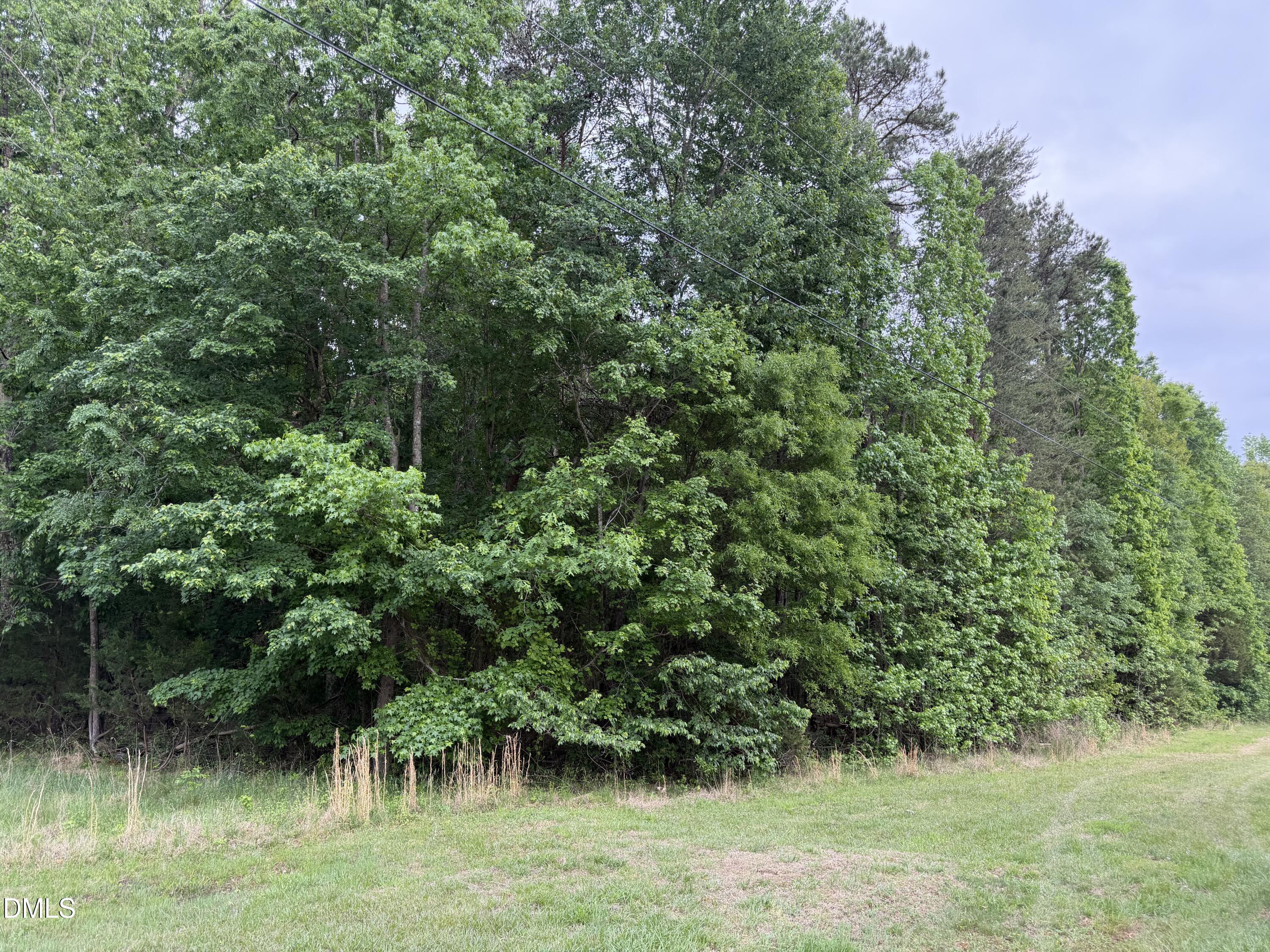 Tbd Medford Oakley Road Rougemont, NC 27572 - Photo 3 of 4 a view of a lush green forest with lots of trees