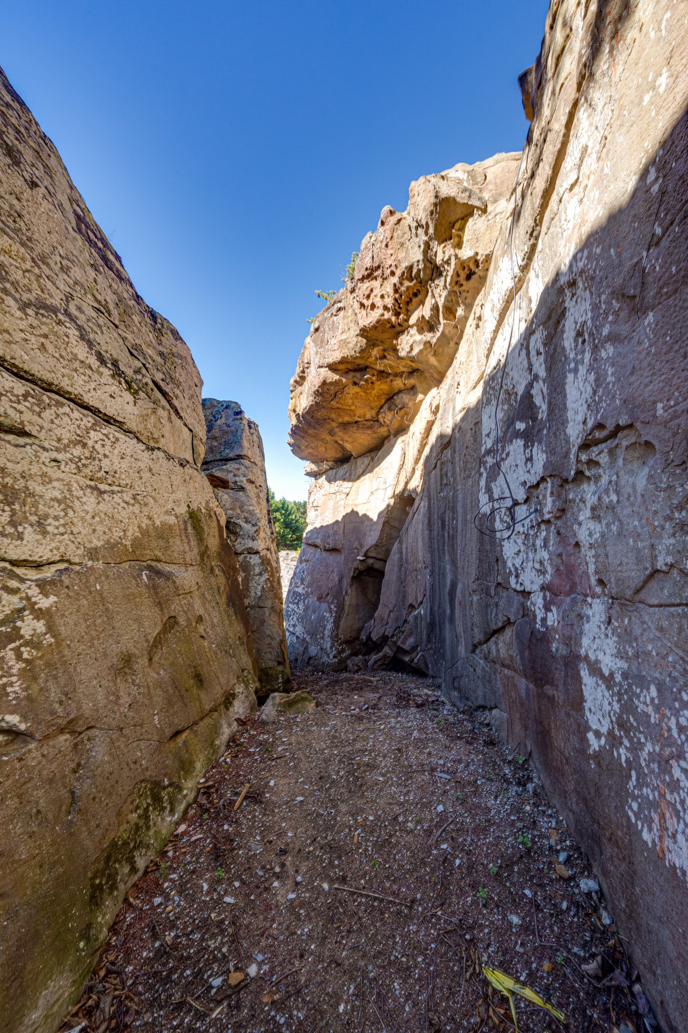 8608 Brow Lake Road Soddy Daisy, TN 37379 - Photo 22 of 23 a view of a backyard