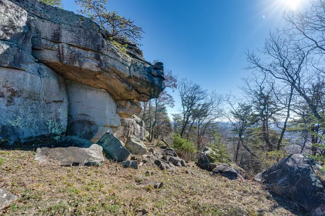 $4,500,000 | 8608 Brow Lake Road, Soddy Daisy, TN 37379