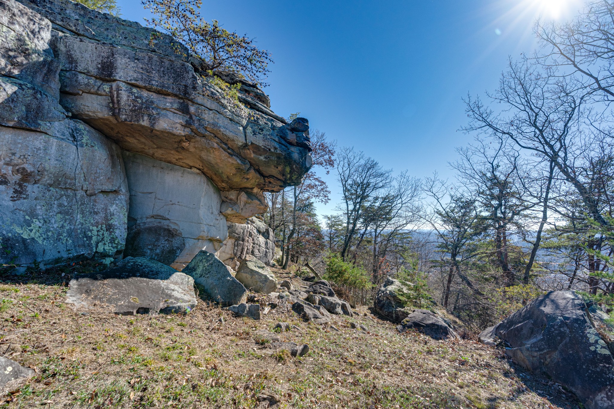 8608 Brow Lake Road Soddy Daisy, TN 37379 - Photo 23 of 23 a view of a wooden house with a yard