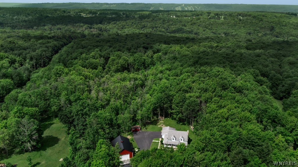 7700 Bleistein Road West Falls, NY 14170 - Photo 5 of 42