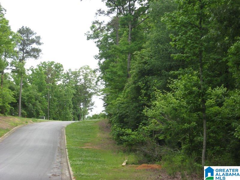 178 Olde Springs Road, Unit 24 Anniston, AL 36207 - Photo 36 of 37