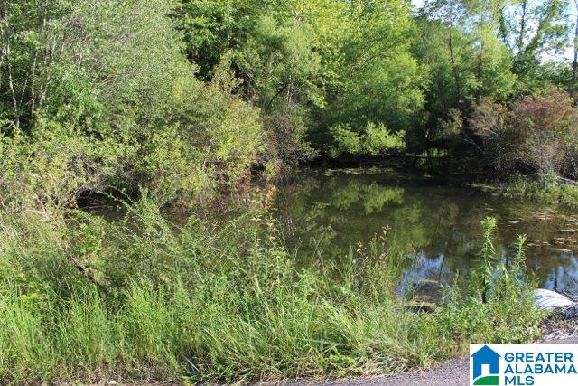 1 Benefield Gap Road Attalla, AL 35954 - Photo 47 of 50