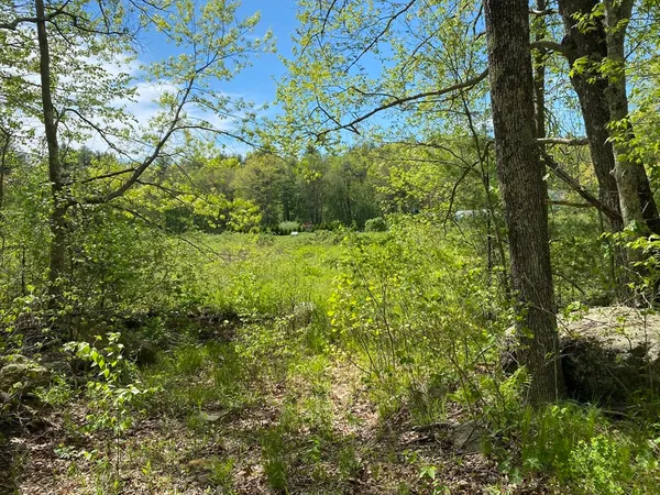 a view of a yard