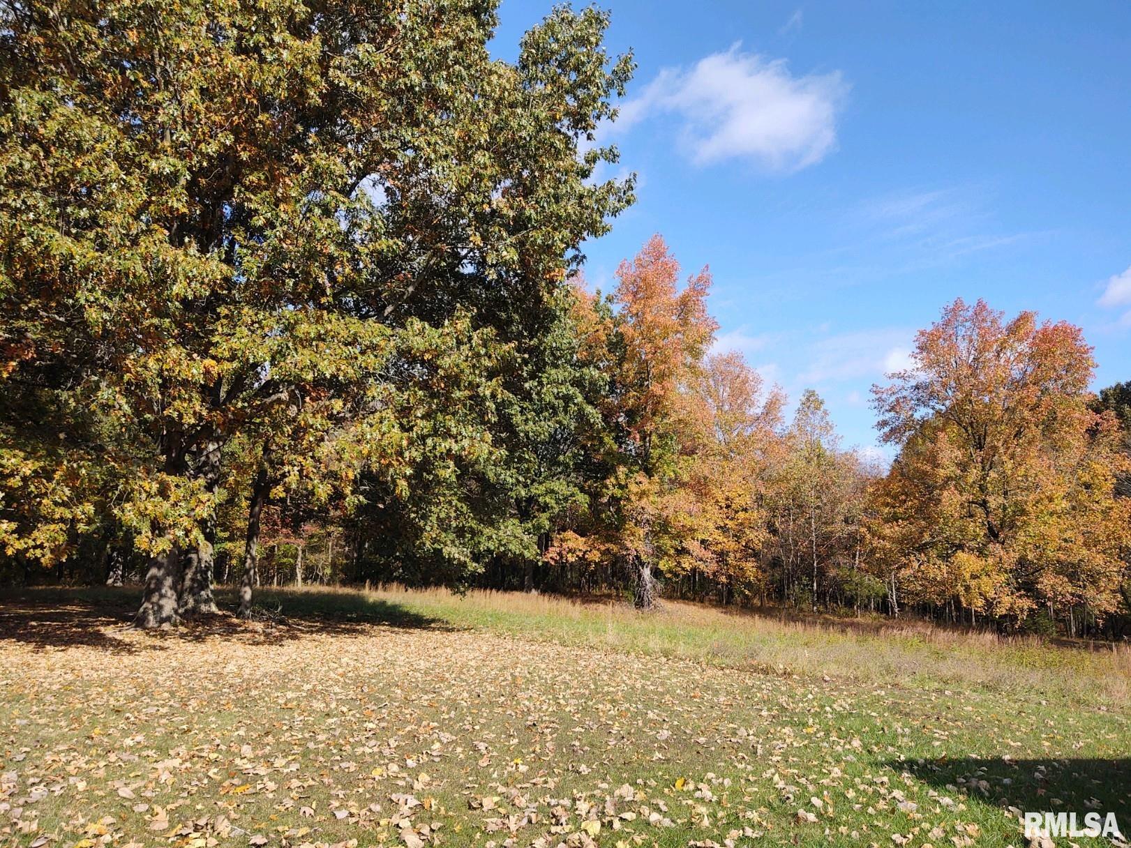 560 Oak Grove Road Vienna, IL 62995 - Photo 11 of 53