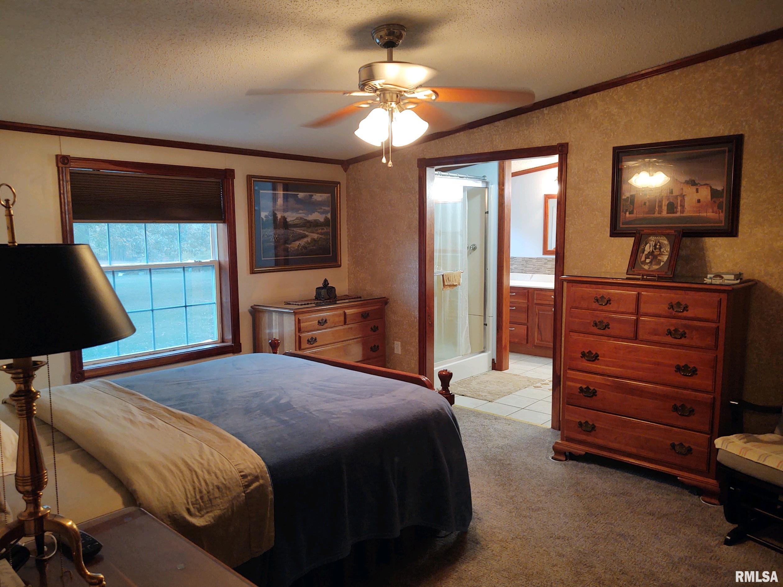 560 Oak Grove Road Vienna, IL 62995 - Photo 33 of 53